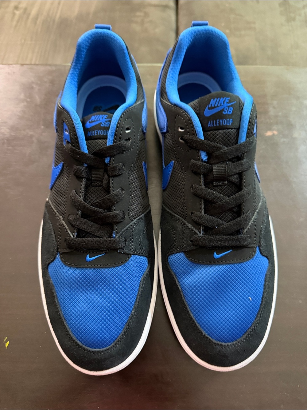 Nike Dunk SB Alley Oop